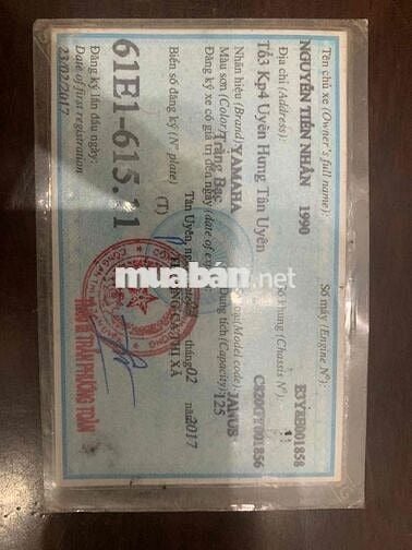 JANUS Yamaha 2017  Êm Ngon