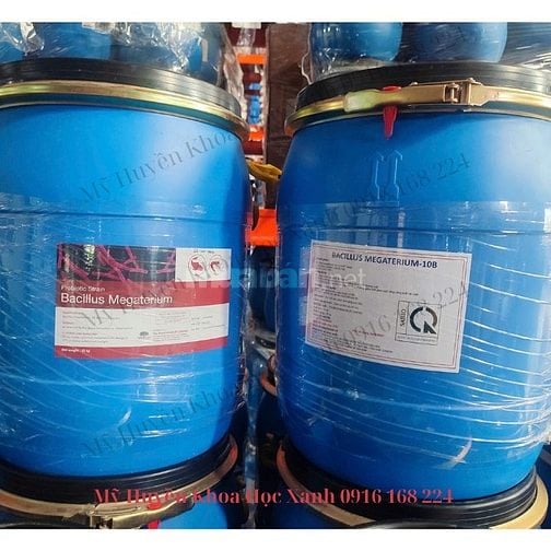 Chuyên cung cấp vi sinh nguyên liệu số lượng lớn, giá cực tốt ạ