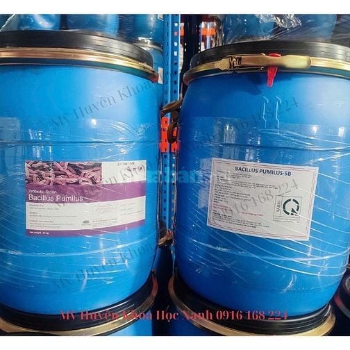 Chuyên cung cấp vi sinh nguyên liệu số lượng lớn, giá cực tốt ạ