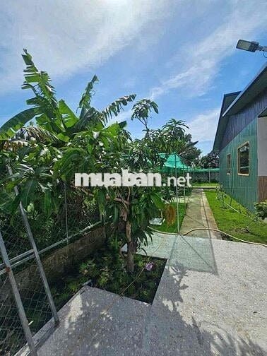 Nhà Vườn Chơn Thành - Giá ngộp chỉ 3.2.0