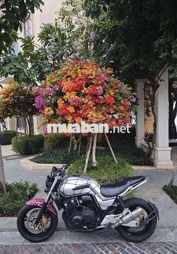 Honda CB400 REVO 2008