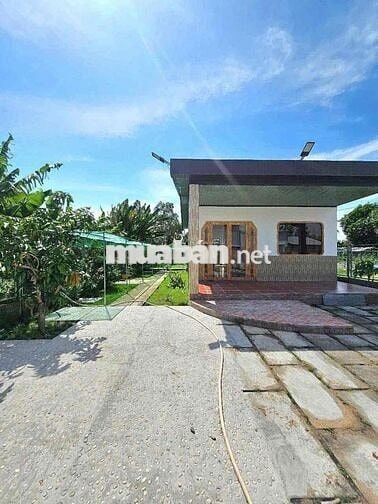 Nhà Vườn Chơn Thành - Giá ngộp chỉ 3.2.0