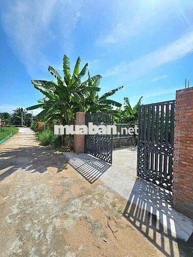 Nhà Vườn Chơn Thành - Giá ngộp chỉ 3.2.0