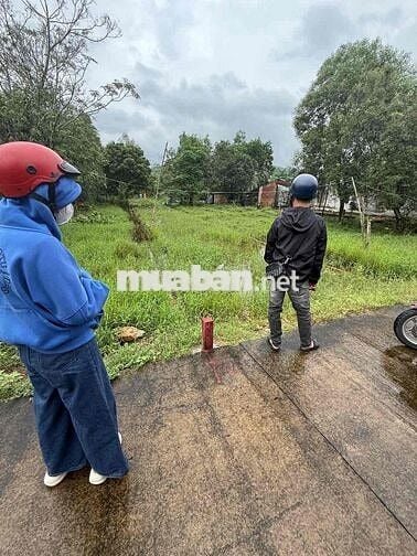 Bán ngay lô nhà vườn 225m² giáp Hòa Khương, Đà Nẵng.