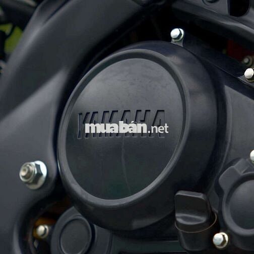 TFX 150 2019 BIỂN ĐẸP CHĂM TỐT