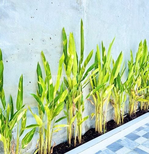 Ngay Chợ Long Hải - Hoà Thành - Tây Ninh 