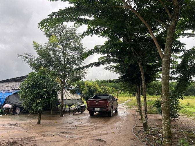  Bán đất song hành Cao tốc, x.Long An, Long Thành: 46.293m2, giá 108tỷ