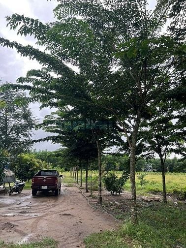  Bán đất song hành Cao tốc, x.Long An, Long Thành: 46.293m2, giá 108tỷ