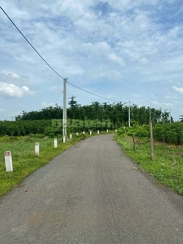 CÔNG TY ĐẤU GIÁ HỢP DANH MINH PHÁP THÔNG BÁO ĐẤU GIÁ TÀI SẢN