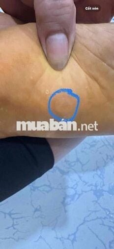 xả lỗ sh mode 2023 abs, biển 63, hđuq+cccd chủ