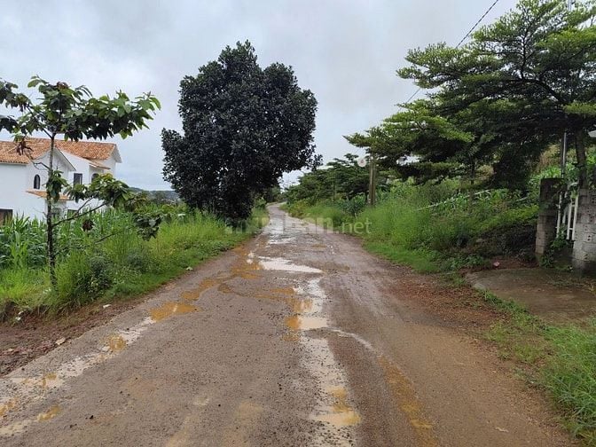 Bán đất tại Xã B'Lá, Bảo Lâm, Lâm Đồng, giá siêu hời 1,25 tỷ, diện tíc