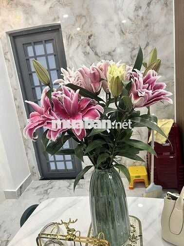 Phòng trọ trong nhà nguyên căn