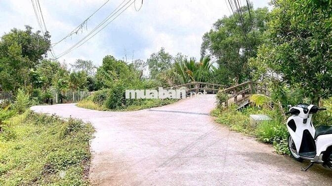 Nền 8x40 - 318m2 ONT - Cách Quốc Lộ 61C 2Km - Lộ Oto 4m - Giá 1,180 Tỷ