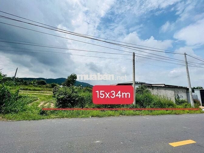 NGỘP BANK *** LÔ 500M2 ngang 15m THỊ TRẤN PHƯỚC HẢI- BRVT