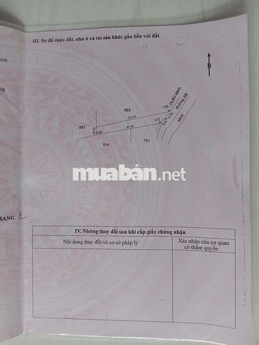 Đất vườn + đất ruộng giá rẻ - chính chủ