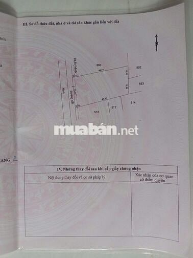 Đất vườn + đất ruộng giá rẻ - chính chủ