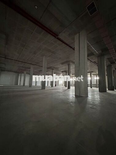 CHO THUÊ KHO XƯỞNG 6.000 – 20.000M² TRONG KCN TÂN PHÚ TRUNG, CỦ CHI