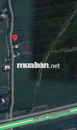 Đất vườn + đất ruộng giá rẻ - chính chủ