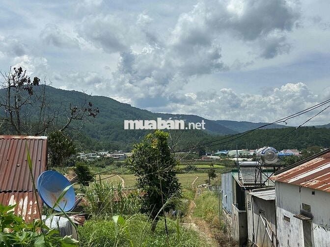 Bán đất 1,2 mẫu có 400m² thổ cư và 4 sào cao ráo tại Ka Đô, Đơn Dương