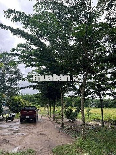 BÁN LÔ ĐẤT 46923,5 đường nhựa song hành, cao tốc long thành dầu dây