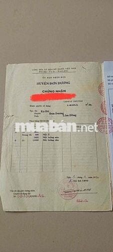 Bán đất 1,2 mẫu có 400m² thổ cư và 4 sào cao ráo tại Ka Đô, Đơn Dương