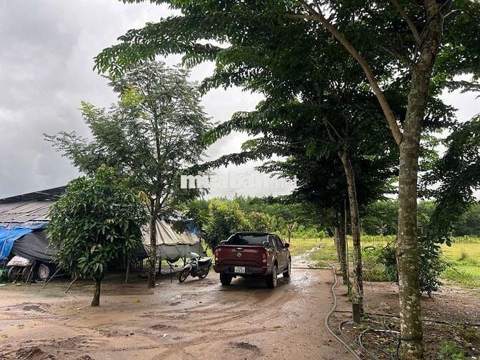 BÁN LÔ ĐẤT 46923,5 đường nhựa song hành, cao tốc long thành dầu dây