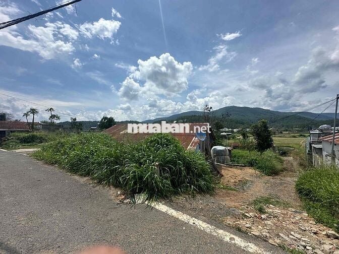 Bán đất 1,2 mẫu có 400m² thổ cư và 4 sào cao ráo tại Ka Đô, Đơn Dương