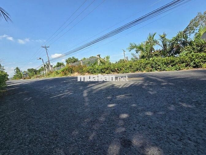 Cần bán gấp đất thổ cư mặt đường lớn xã Phú Điền, Đồng Tháp