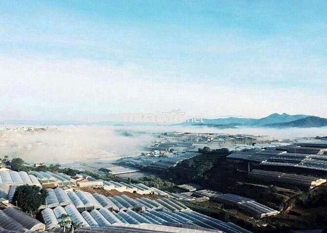 Hạ giá cần bán nhanh lô đất 2 mặt tiền 434m2 giá 889triệu phường 11