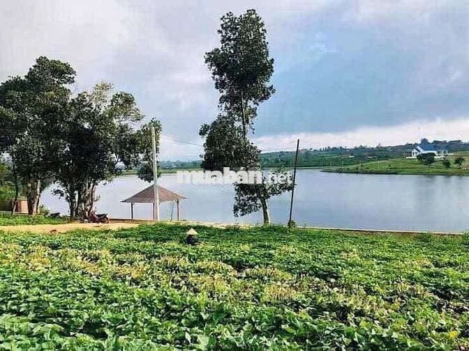 BÁN ĐẤT VIEW HỒ PHÚC HƯNG – LÂM HÀ, LÂM ĐỒNG