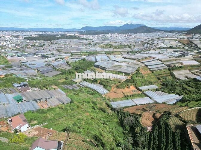 Hạ giá cần bán nhanh lô đất 2 mặt tiền 434m2 giá 889triệu phường 11