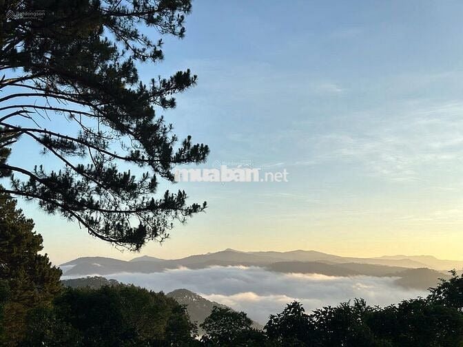Bán lỗ nhanh lô đất 2946m2 giá 688 Triệu view săn mây Phường 11 Đà Lạt