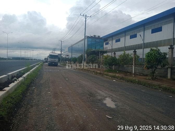 CHUYỂN NHƯỢNG 50 HA ĐẤT TRỐNG TẠI XÃ ĐỨC HÒA ĐÔNG, LONG AN