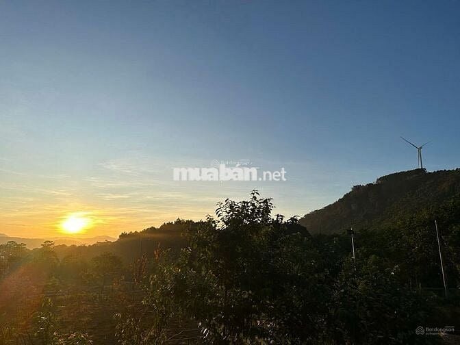 Bán lỗ nhanh lô đất 2946m2 giá 688 Triệu view săn mây Phường 11 Đà Lạt