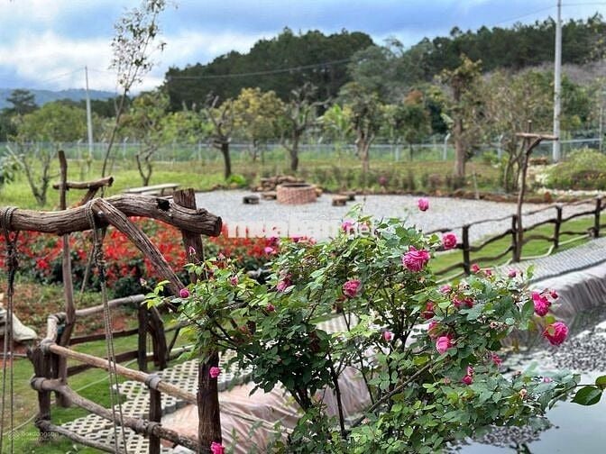 Bán lỗ nhanh lô đất 2946m2 giá 688 Triệu view săn mây Phường 11 Đà Lạt