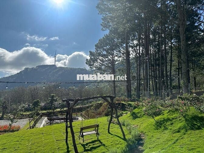 Bán lỗ nhanh lô đất 2946m2 giá 688 Triệu view săn mây Phường 11 Đà Lạt