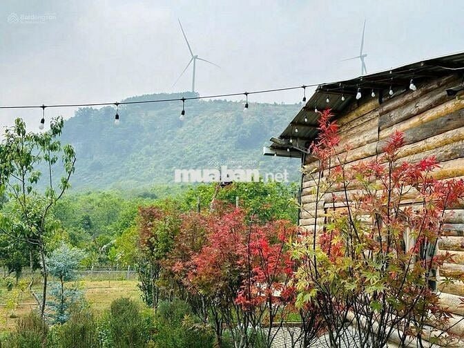 Bán lỗ nhanh lô đất 2946m2 giá 688 Triệu view săn mây Phường 11 Đà Lạt