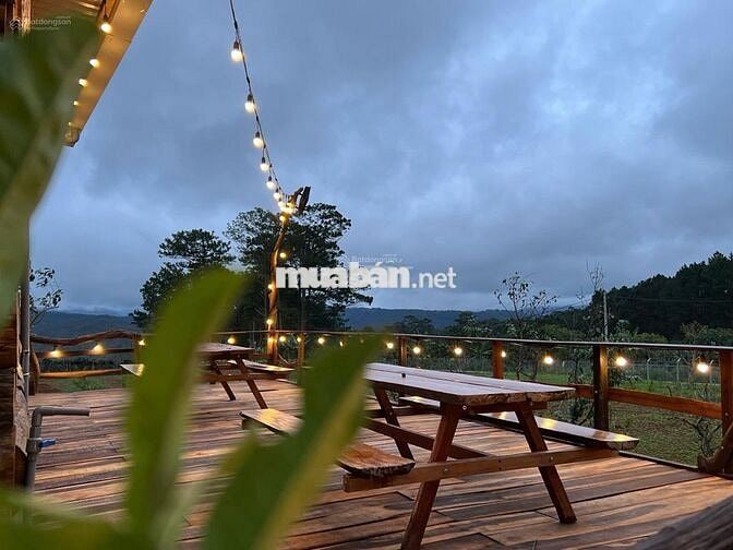 Bán lỗ nhanh lô đất 2946m2 giá 688 Triệu view săn mây Phường 11 Đà Lạt