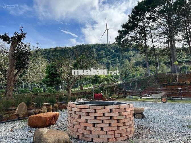 Bán lỗ nhanh lô đất 2946m2 giá 688 Triệu view săn mây Phường 11 Đà Lạt