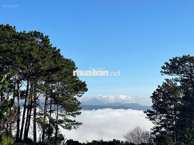 Bán lỗ nhanh lô đất 2946m2 giá 688 Triệu view săn mây Phường 11 Đà Lạt