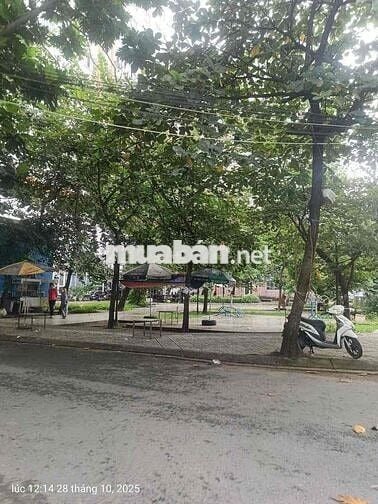 🛑NHÀ MẶT TIỀN HẺM KINH DOANH 6m- Ô TÔ QUA LẠI P5