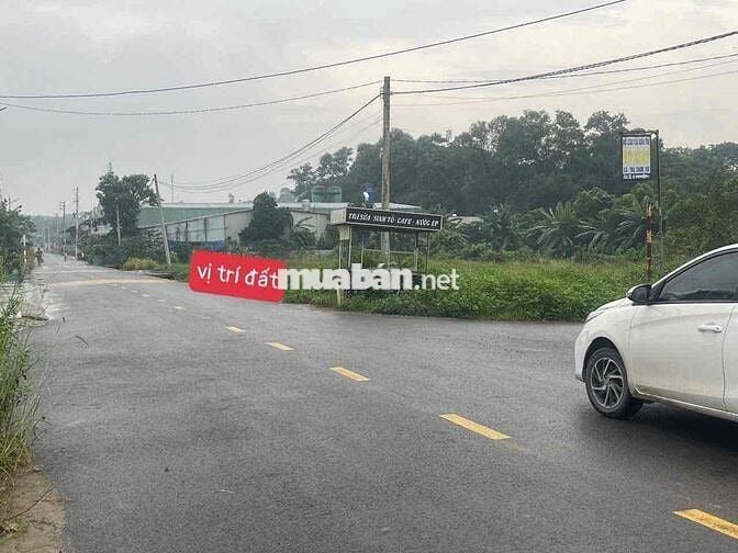 Bán gấp đất mặt tiền nhựa thông buôn bán