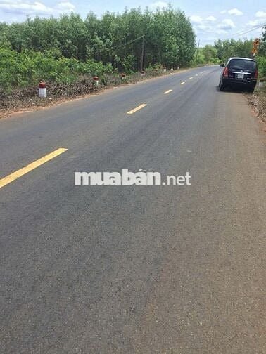 CHÍNH CHỦ BÁN GẤP–ĐẤT MẶT TIỀN ĐƯỜNG NHỰA X.PHƯỚC THÁI–LONG THÀNH- ĐN