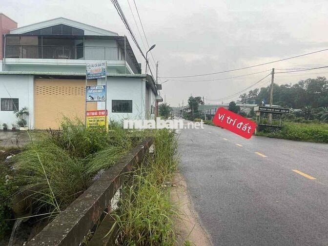 Bán gấp đất mặt tiền nhựa thông buôn bán