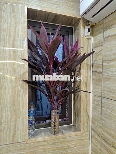 3 tỷ 19 căn hộ mặt phố Tân Mai, 2 phòng ngủ, full nội thất, sổ đỏ cc