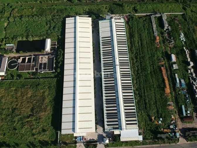 BÁN 5000m² ĐẤT CÔNG NGHIỆP TẠI KCN HÒA BÌNH THỦ THỪA LONG AN 