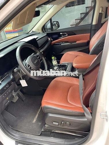 Carnival 2023 signatural lướt 4 vạn siêu đẹp