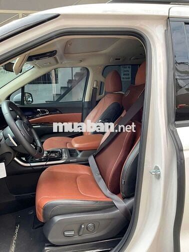 Carnival 2023 signatural lướt 4 vạn siêu đẹp