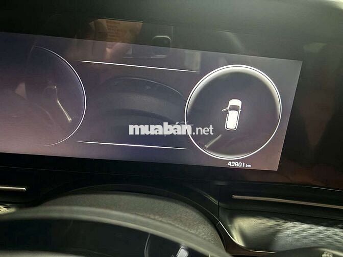 Carnival 2023 signatural lướt 4 vạn siêu đẹp