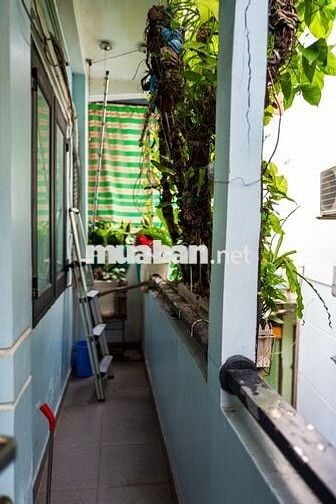 Cho thuê nhà hẻm Nhiêu Tâm gần chợ Hòa Bình, 100 m2